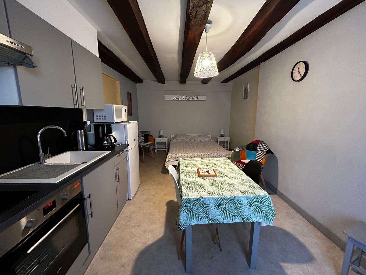 Studio centre La Roche-Posay, Wifi et parking gratuit - Photo 3