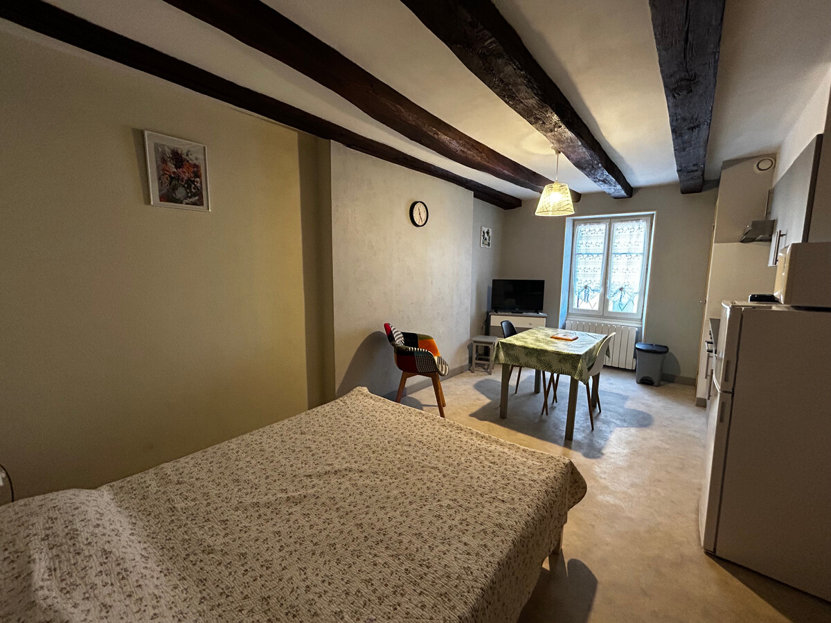 Studio centre La Roche-Posay, Wifi et parking gratuit - Photo 8