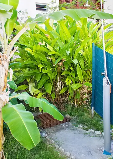 Studio charmant à Sainte-Anne avec piscine partagée, 24 m² - Photo 22