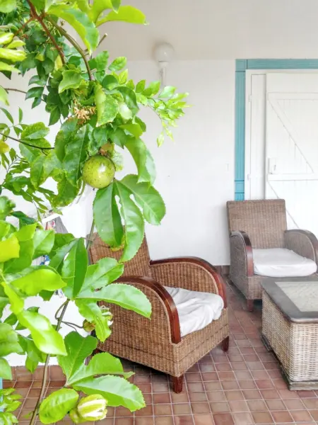 Villa élégante à Saint François, 75 m², piscine privée - Photo 27