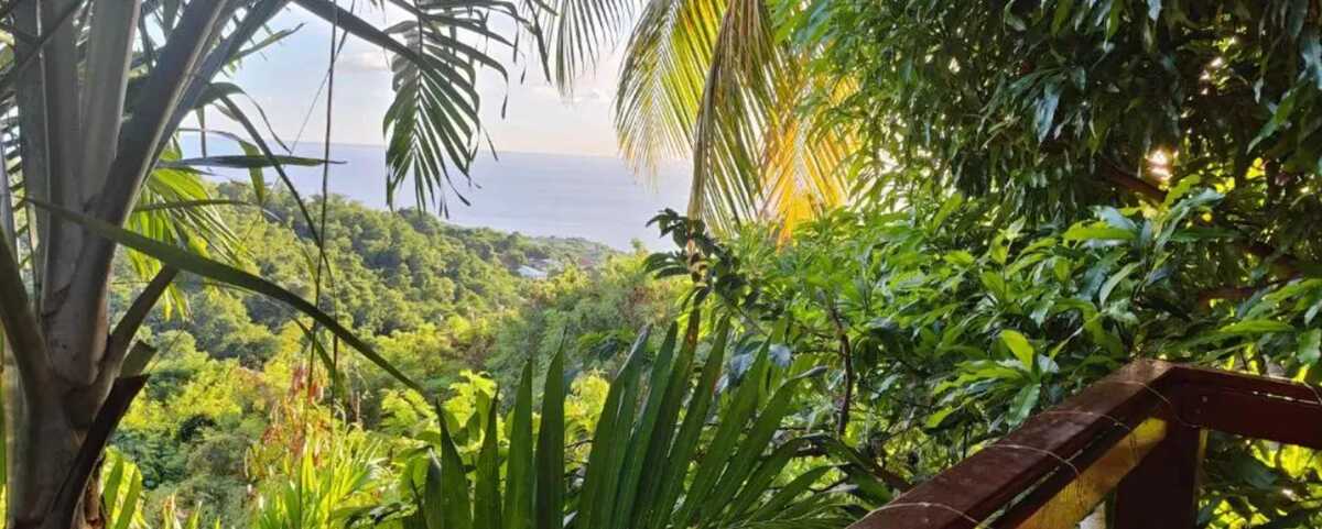 Maison 75 m² vue mer et montagne à Vieux-Habitants - Photo 13