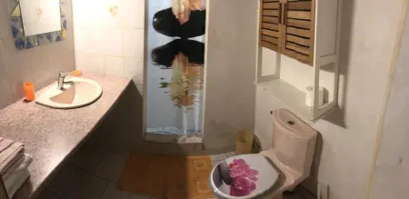 Maison conviviale à Deshaies avec piscine partagée 120 m² - Photo 10