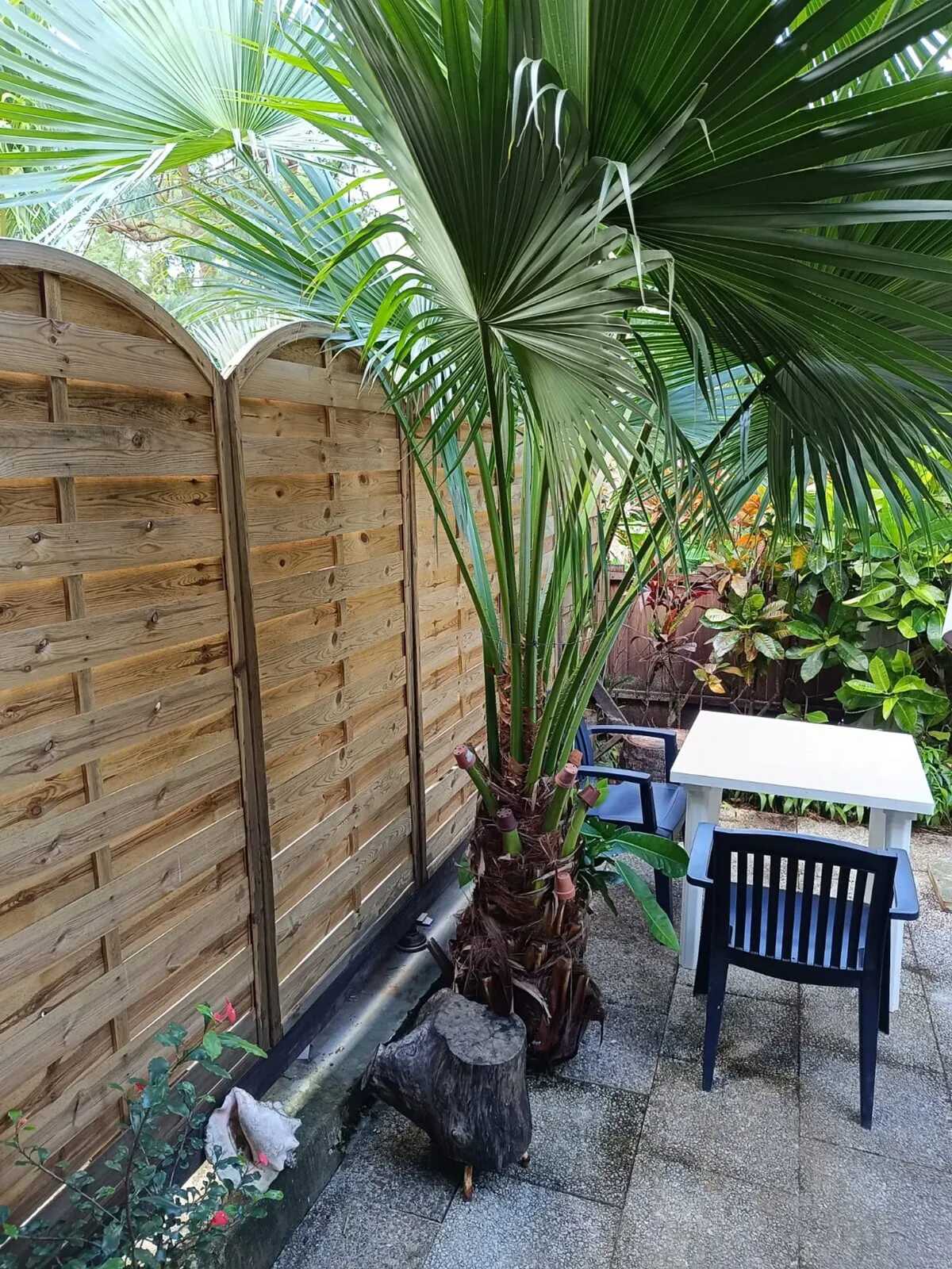 Studio 16 m² avec jardin et piste de pétanque - Photo 11