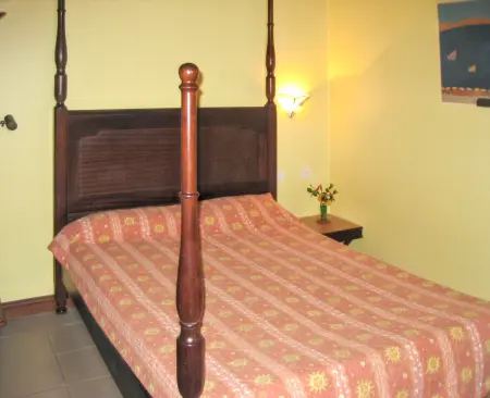 Studio charmant à Sainte-Anne, 25 m², vue sur le jardin - Photo 4
