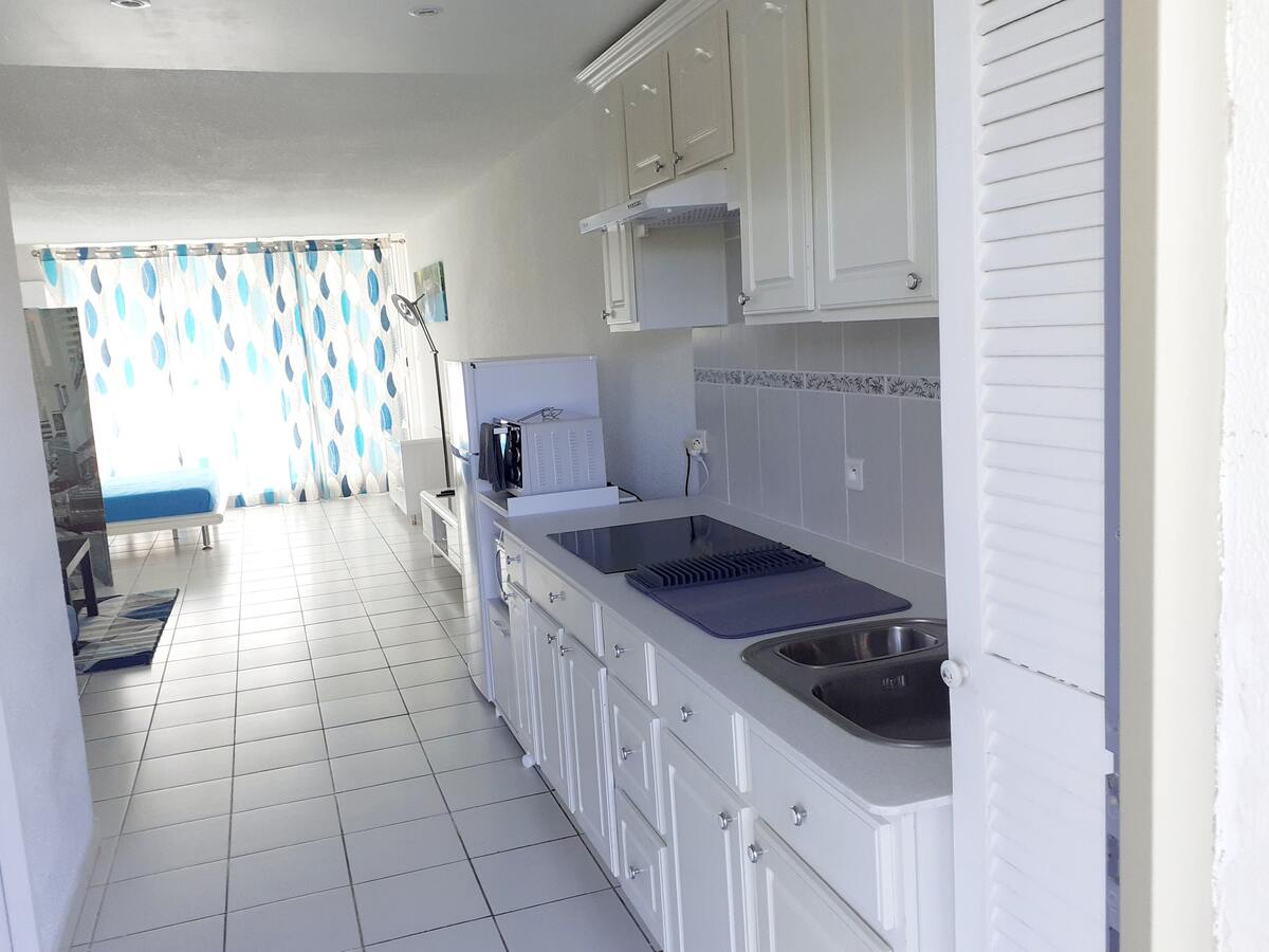 Studio 40 m² vue lac et montagnes - Saint-Martin - Photo 16