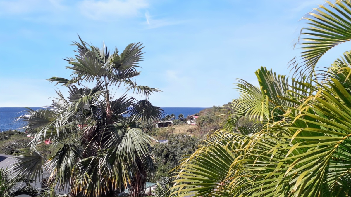Studio vue mer avec jardin à Marigot - Photo 16