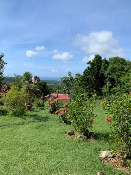 Appartement avec terrasse et jardin privés à Rivière-Salée, Martinique : photo 5