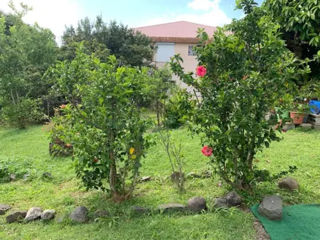 Appartement avec terrasse et jardin privés à Rivière-Salée, Martinique : photo 19