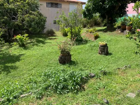 Appartement avec terrasse et jardin privés à Rivière-Salée, Martinique : photo 21
