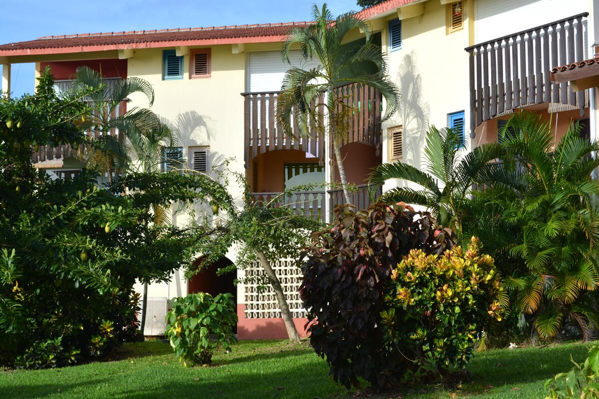 Studio bord de mer Sainte-Anne, terrasse vue jardin - Photo 1