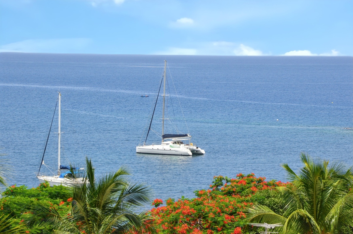 Bungalow 5 pers. vue mer et terrasse à Bouillante - Photo 19