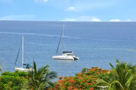 Bungalow confortable avec vue mer à Bouillante, Bungalow 5 personnes à Bouillante - Photo 18