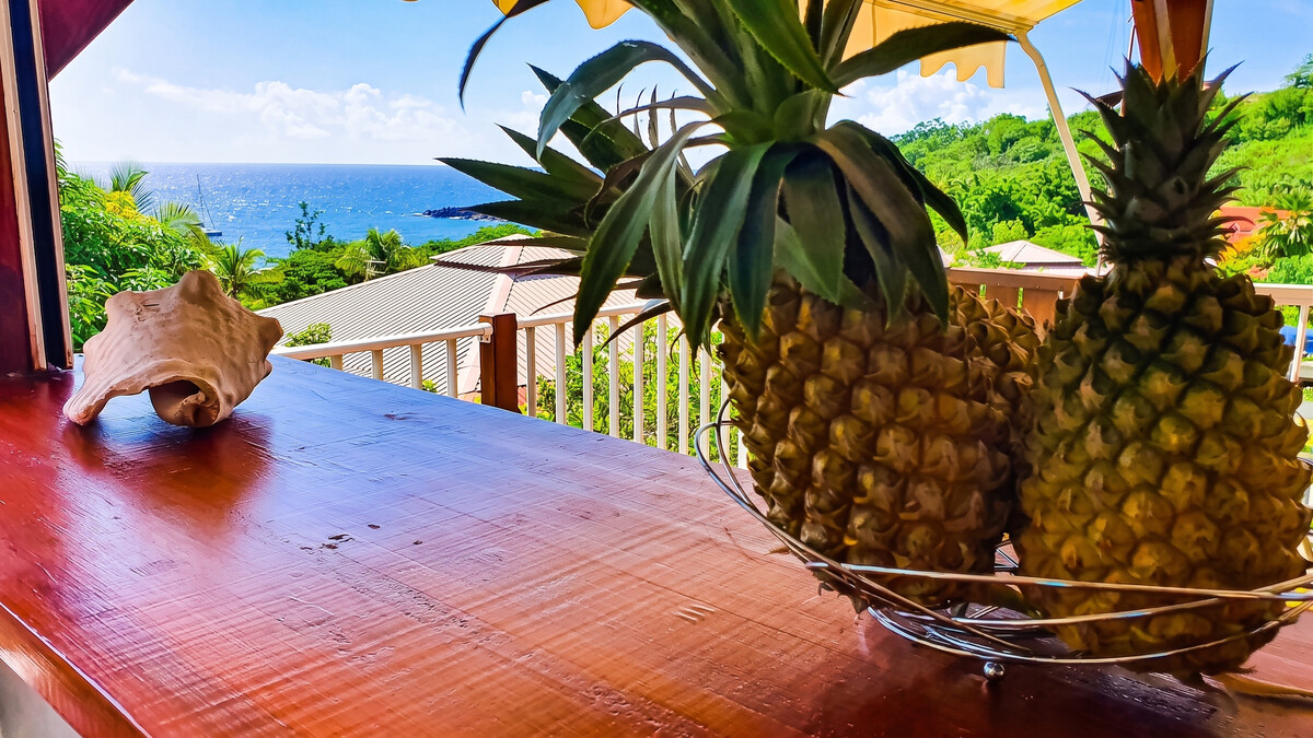 Bungalow 4 pers. à Bouillante, terrasse vue mer à 5 min de plage - Photo 25