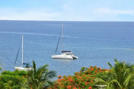 Bungalow enchanteur à Bouillante avec vue sur la mer - Photo 20