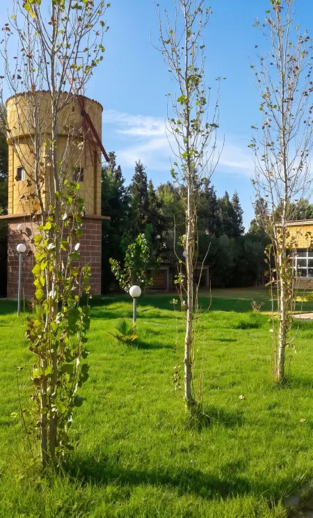 Villa avec piscine privée chauffée à Laghnimyene, 3 chambres : photo 33
