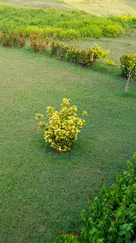 Appartement 84 m² avec balcon vue jardin à Petit-Canal, Guadeloupe : photo 27