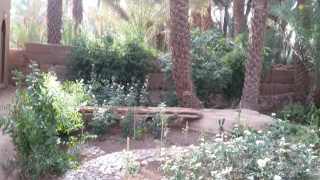 Maison charmante avec piscine à Zagora, Location Maison 20 personnes à Zagora - Photo 28