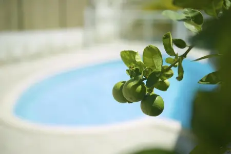 Villa élégante avec piscine privée à Saint-François - Photo 26