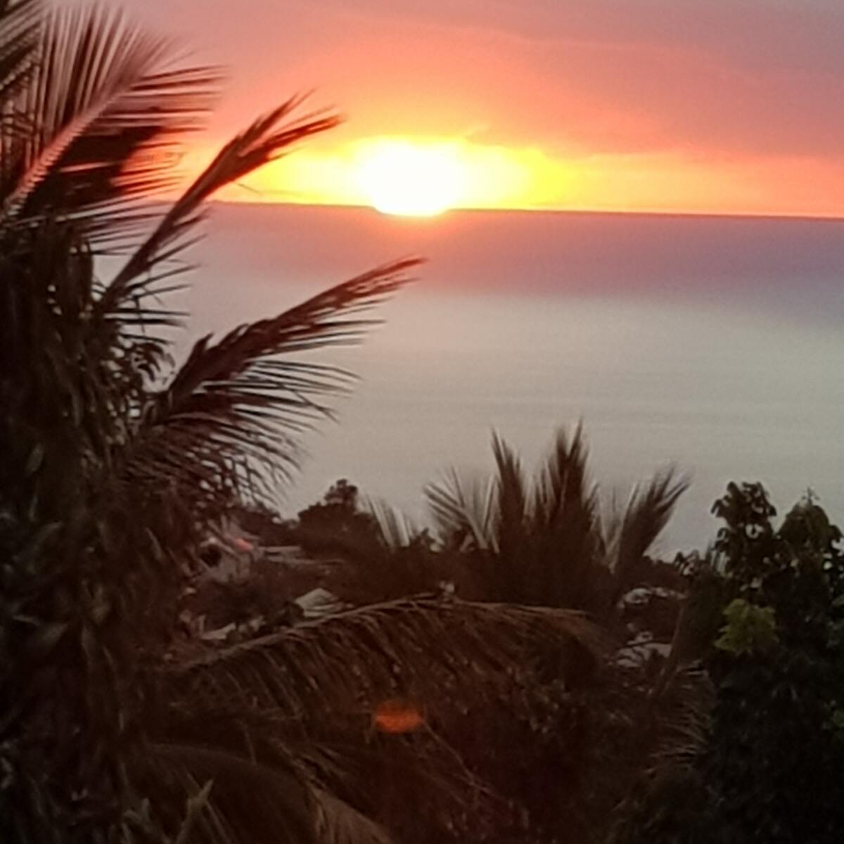 Maison avec vue mer et jardin à Saint-Paul, La Réunion - Photo 8