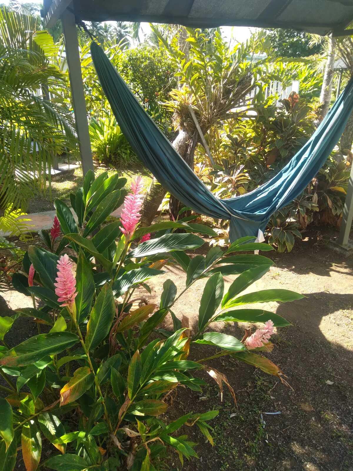Bungalow 36 m² avec piscine à Sainte-Rose - Photo 17