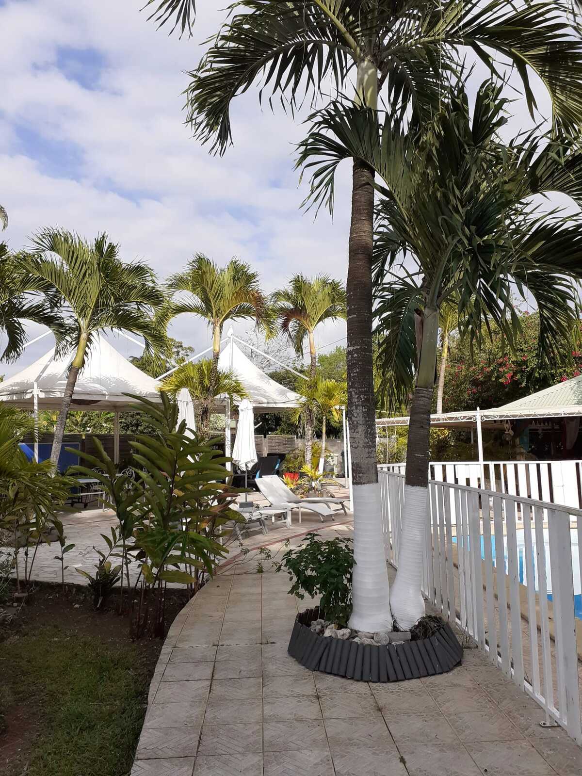 Bungalow 36 m² avec piscine à Sainte-Rose - Photo 18