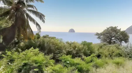 Maison spacieuse avec jardin au Diamant, proche plages - Photo 11