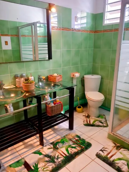 Appartement 250 m² avec jardin et terrasse à Le Gosier, 4 chambres : photo 21