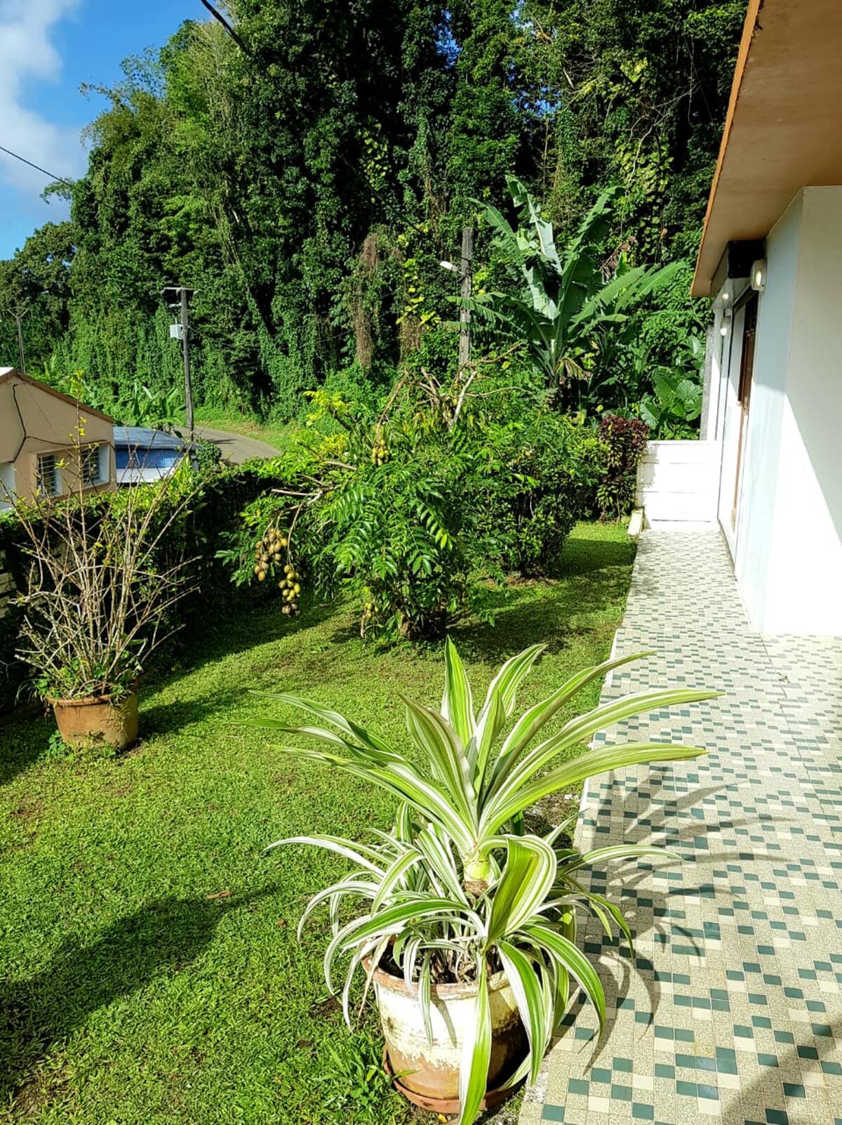 Maison 90 m² avec terrasse et jardin au Lorrain - Photo 5