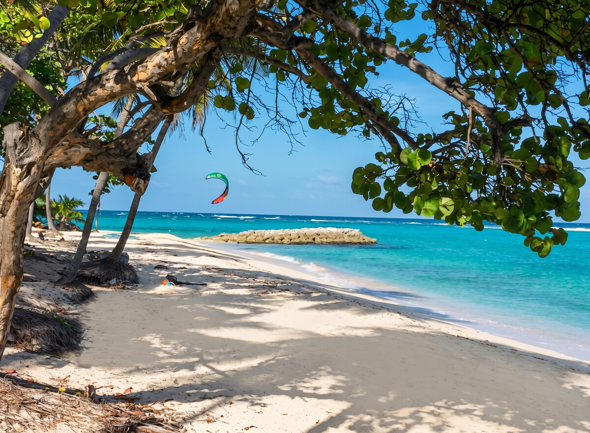 Studio vue mer avec terrasse à Capesterre-de-Marie-Galante - Photo 12