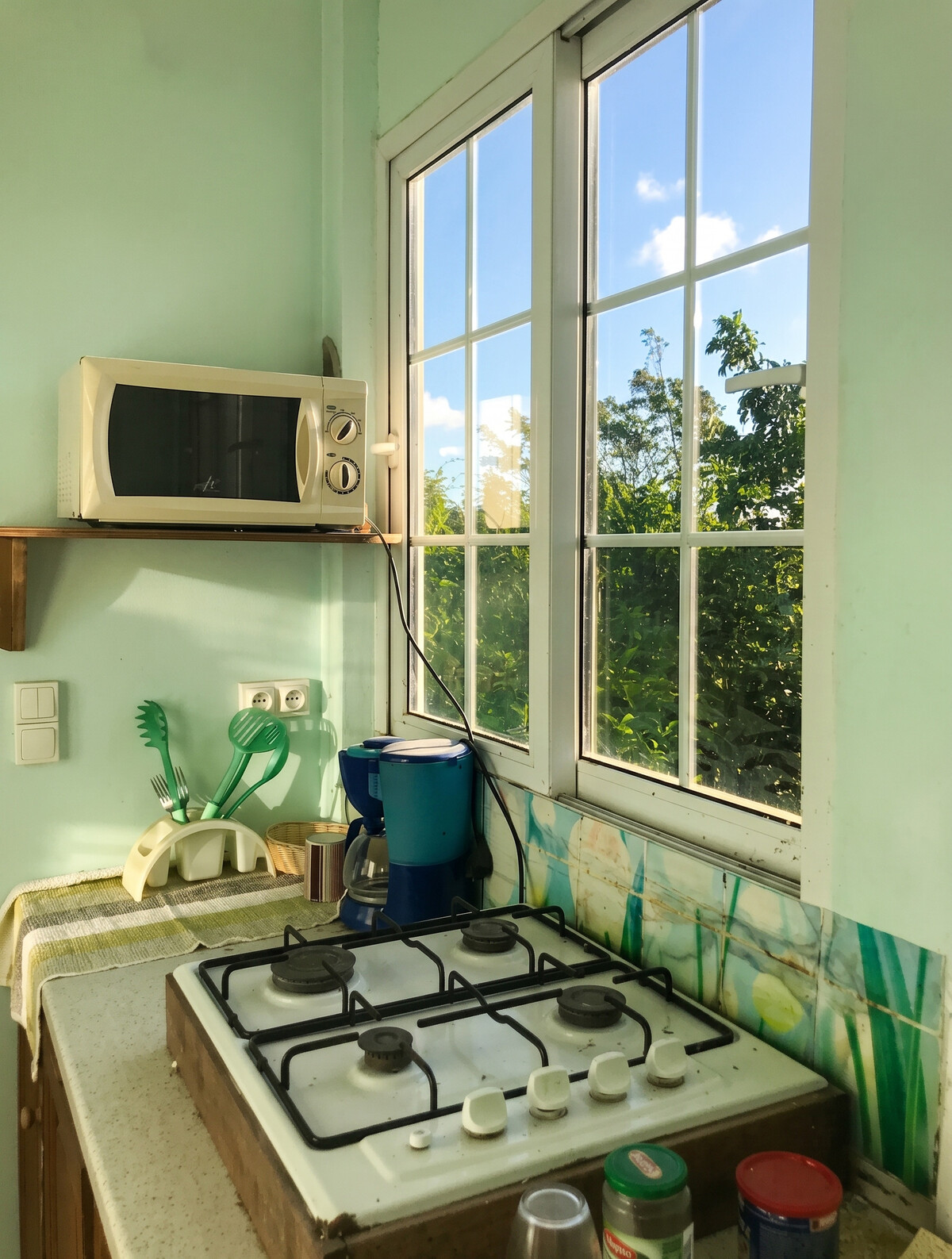 Appartement 30 m² avec jardin clôturé à Fort-de-France - Photo 3