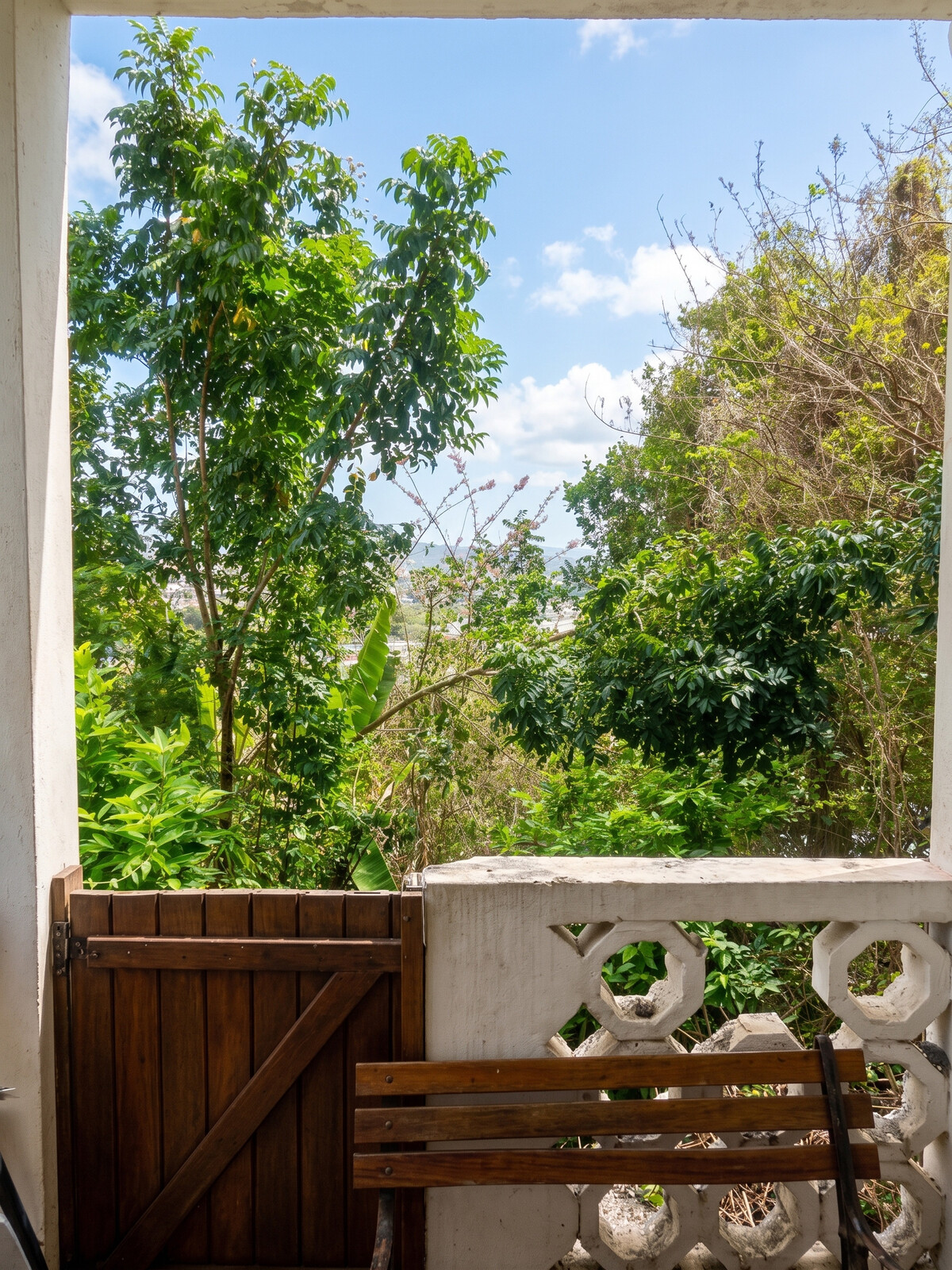 Appartement 30 m² avec jardin clôturé à Fort-de-France - Photo 12