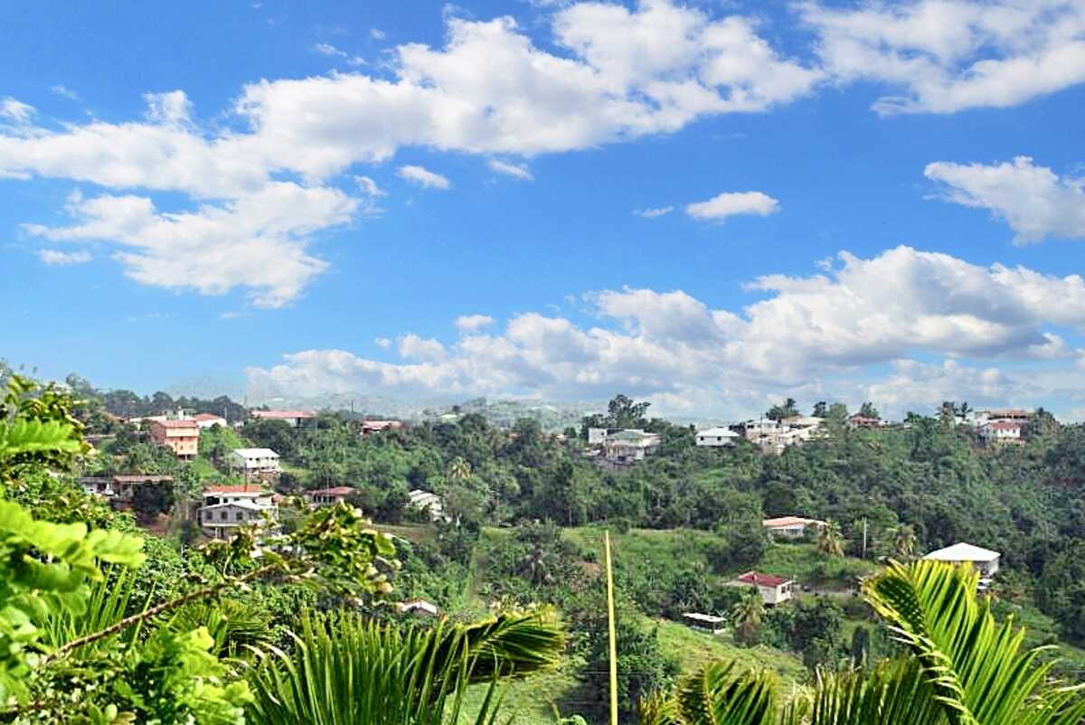 Maison avec vue mer et jardin à Rivière-Pilote, Martinique - Photo 10