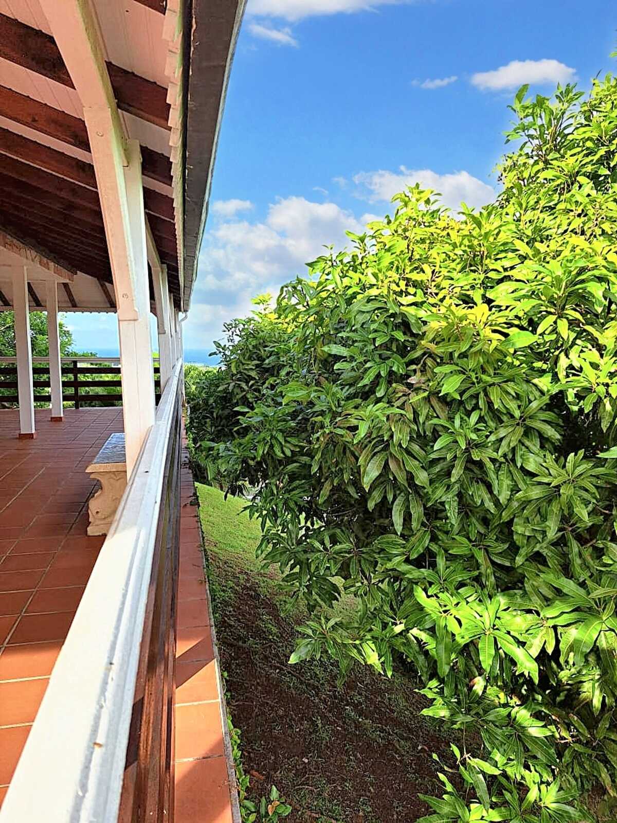 Maison avec vue mer et jardin à Rivière-Pilote, Martinique - Photo 18