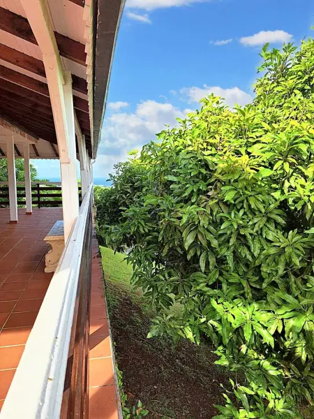Maison avec vue mer et jardin à Rivière-Pilote, Martinique : photo 18