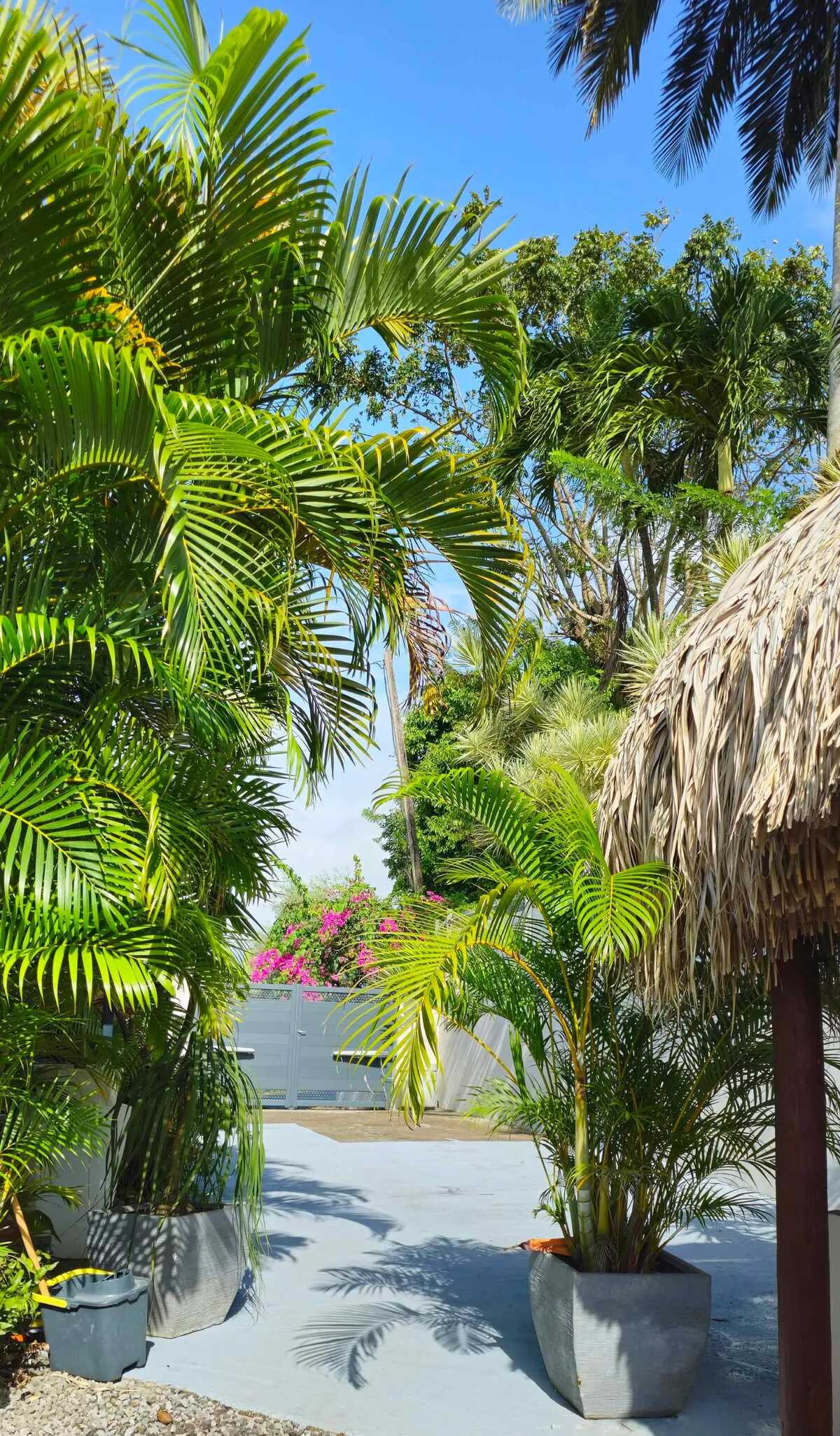 Villa avec piscine privée et jardin clôturé au Lamentin, Martinique - Photo 27