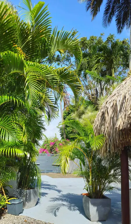 Villa élégante avec jardin au Lamentin et piscine privée. - Photo 26