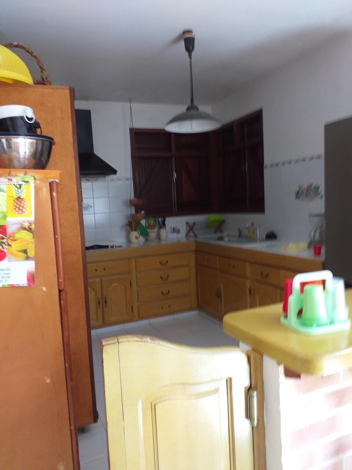 Appartement 120 m² avec terrasse et barbecue à Sainte-Rose - Photo 2