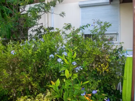 Appartement 62 m² avec terrasse et jardin à Rivière-Pilote : photo 12
