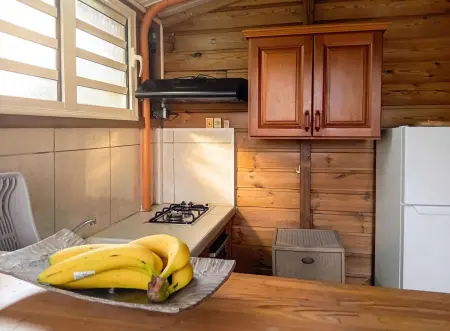 Studio 30 m² avec jardin clos et terrasse, Sainte-Luce : photo 9