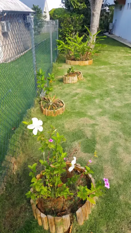 Appartement 30 m² avec terrasse et jardin clos à Baie-Mahault : photo 4