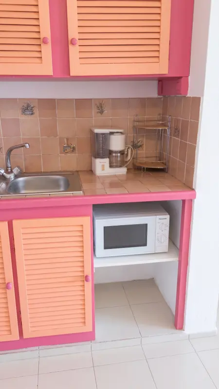 Appartement 30 m² avec terrasse et jardin clos à Baie-Mahault : photo 8