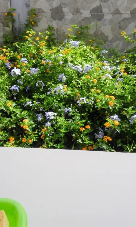 Maison avec piscine privée et jardin clos à Petit Bourg : photo 13