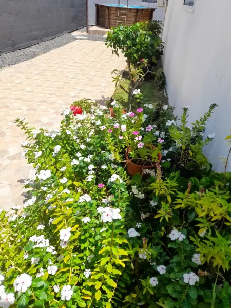 Maison avec piscine privée et jardin clos à Petit Bourg : photo 19