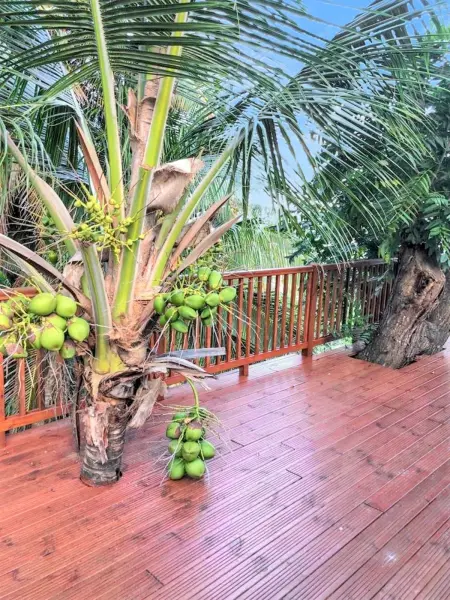 Maison avec piscine partagée et vue mer à La Trinité, Martinique : photo 9