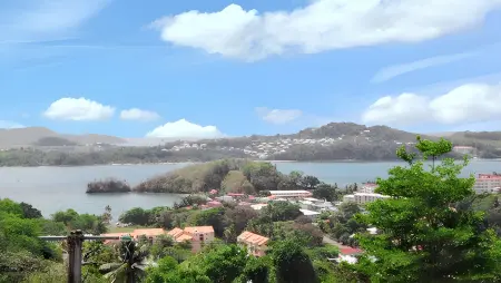Maison avec piscine partagée et vue mer à La Trinité, Martinique : photo 19