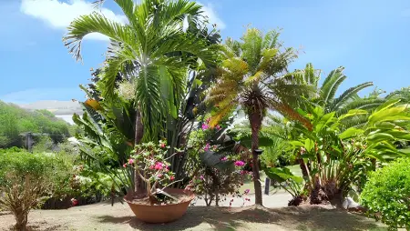 Maison avec piscine partagée et vue mer à La Trinité, Martinique : photo 22