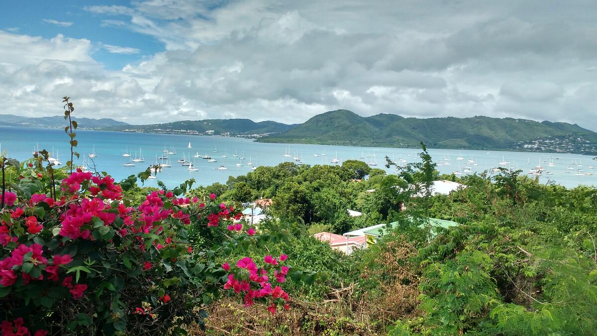 Appartement 43 m² vue mer à Sainte-Anne, piscine - Photo 39