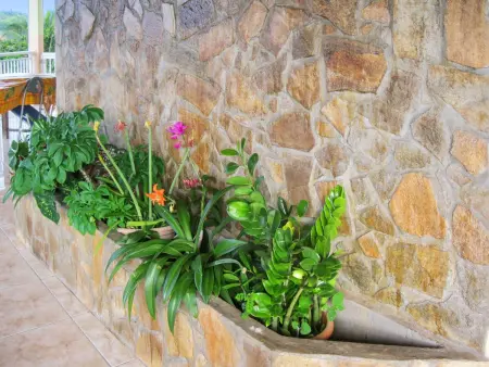 Maison vue mer avec jardin clôturé et terrasse au Robert, Martinique : photo 10