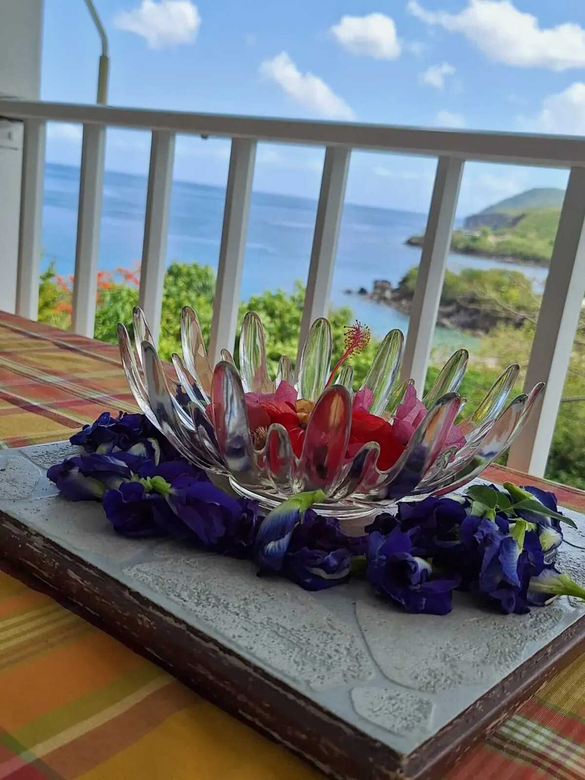 Maison avec vue mer et terrasse à Deshaies, Guadeloupe - Photo 17