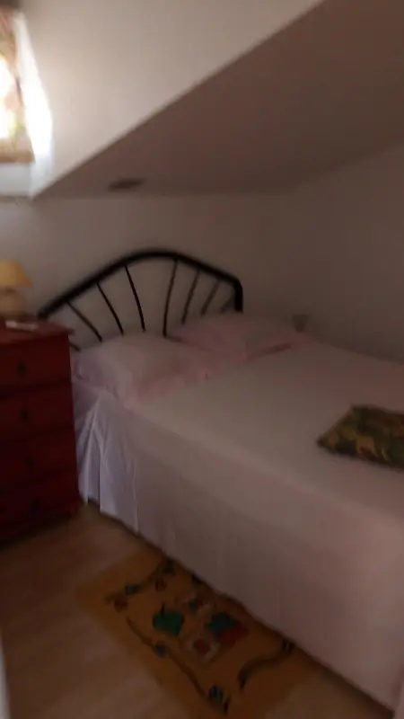 Appartement ensoleillé à Goyave, 50 m², vue mer et balcon - Photo 5
